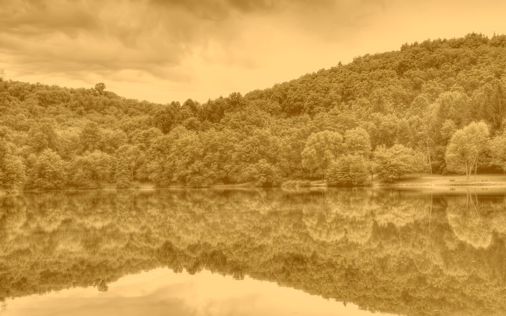 Лесной берег обои