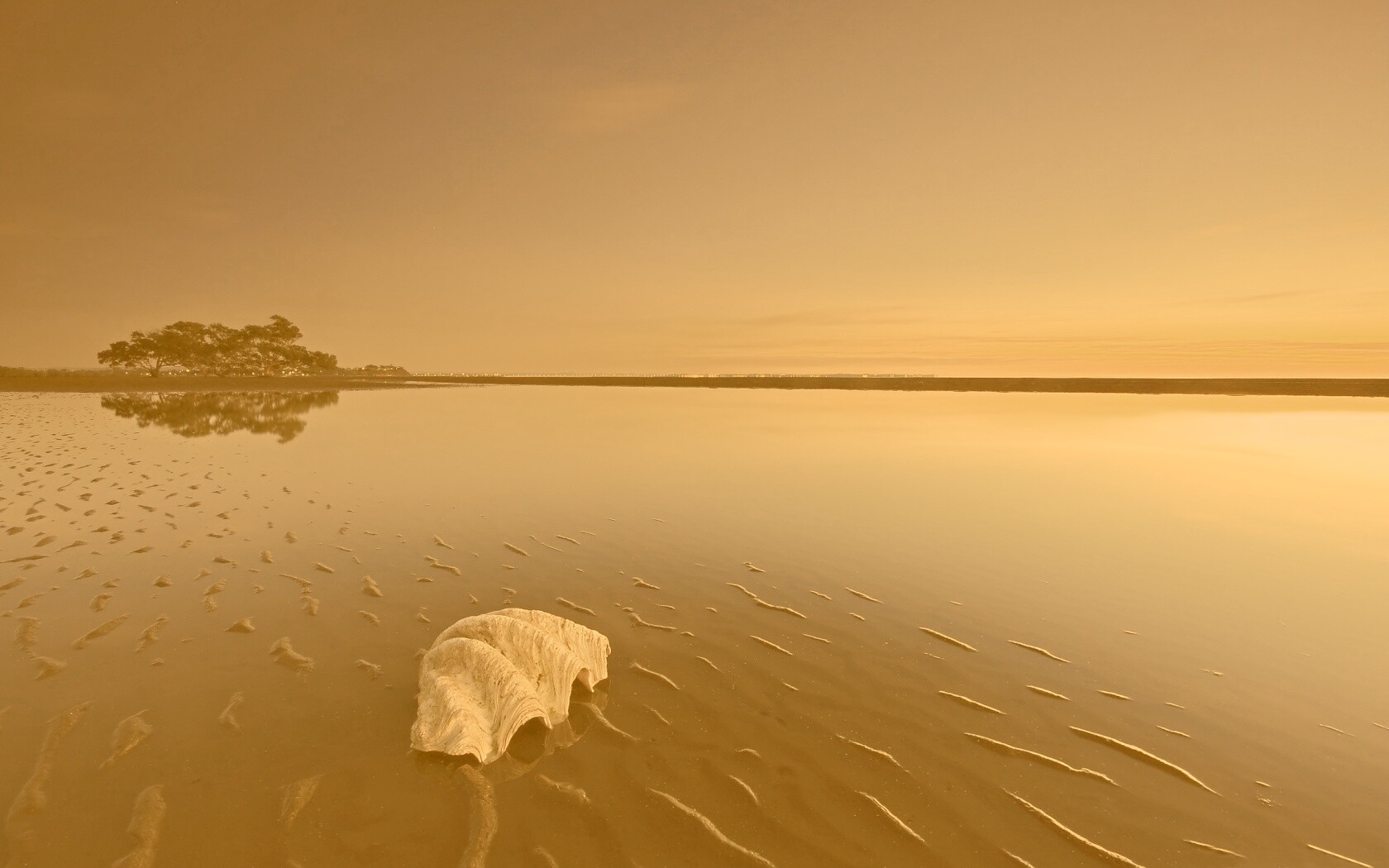 Закат на берегу моря обои