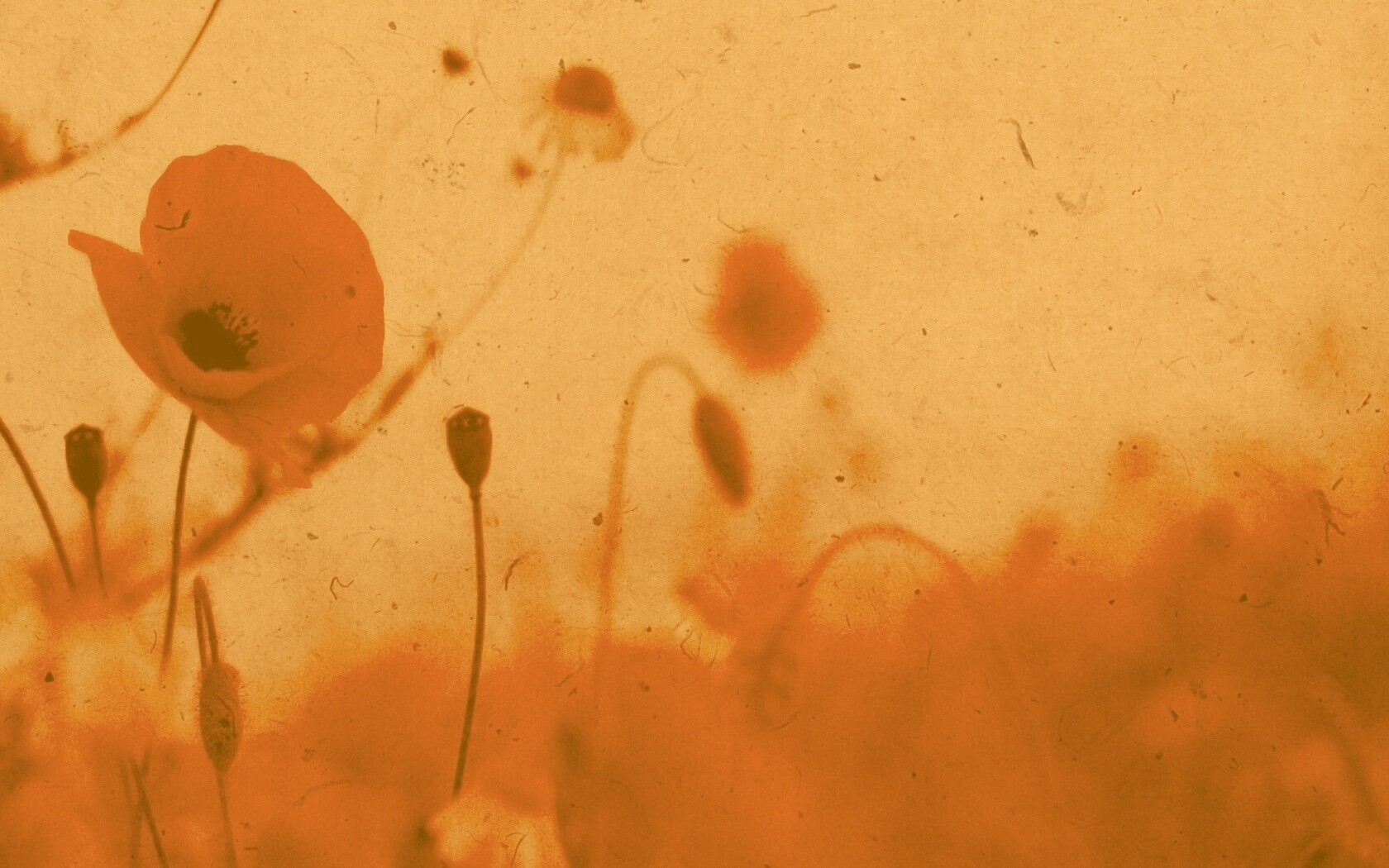 Кровавые цветы в стиле ретро обои