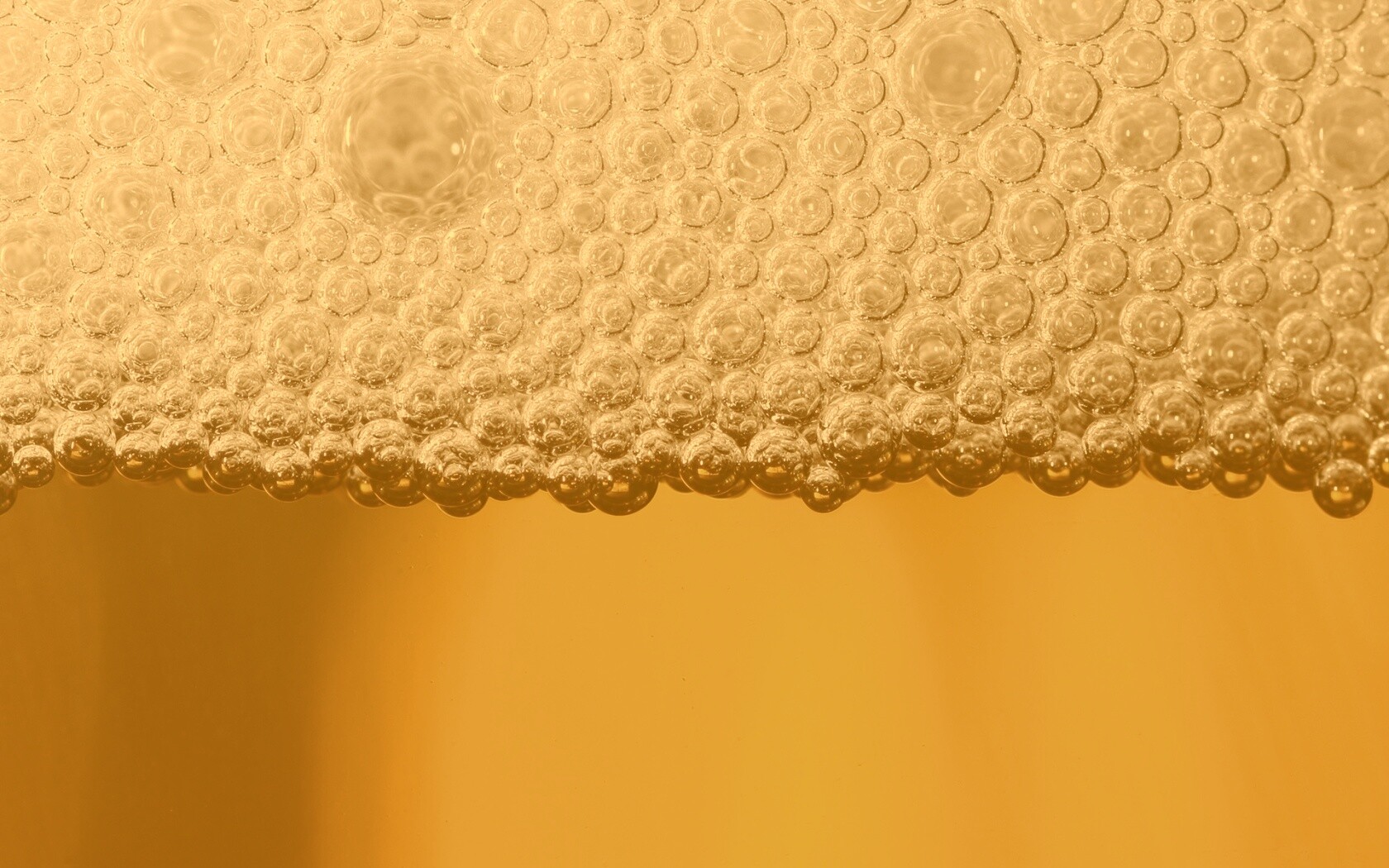 Пенное пиво в макро обои