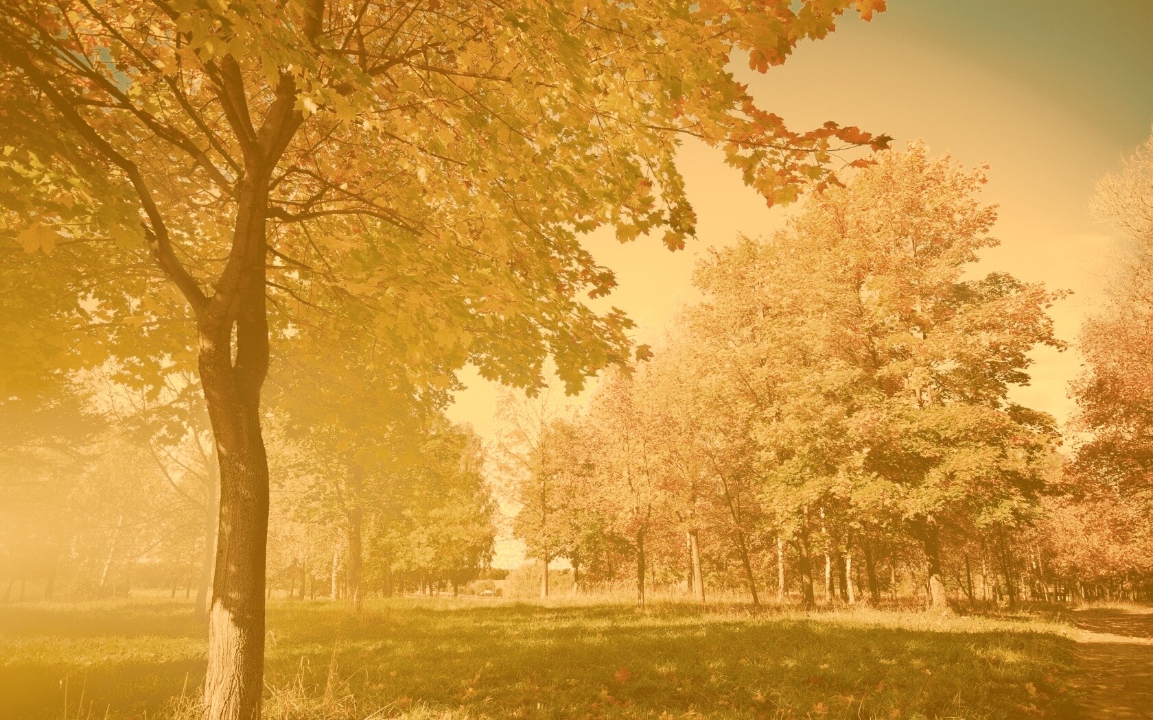 Осень в лесу обои