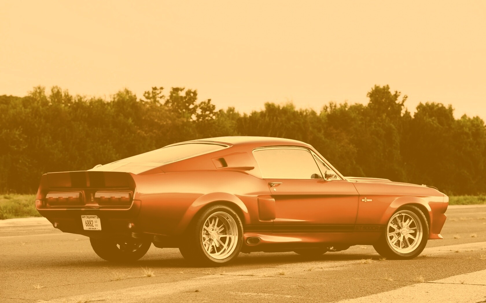 Shelby GT500 CR обои