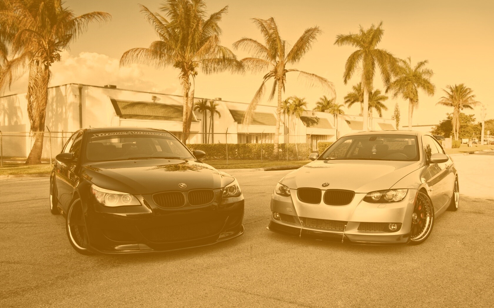Две БМВ обои