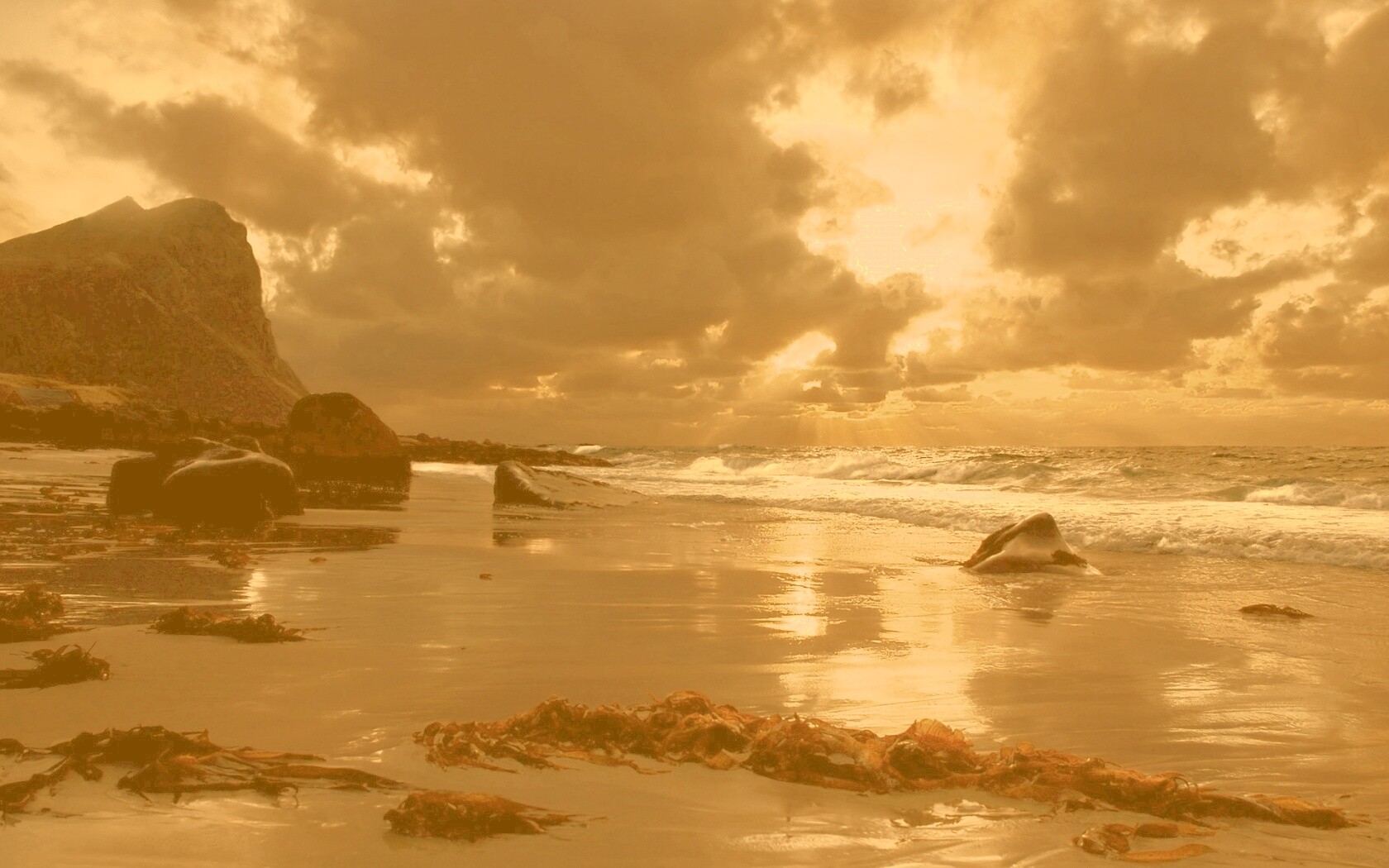 Океанский берег на закате обои