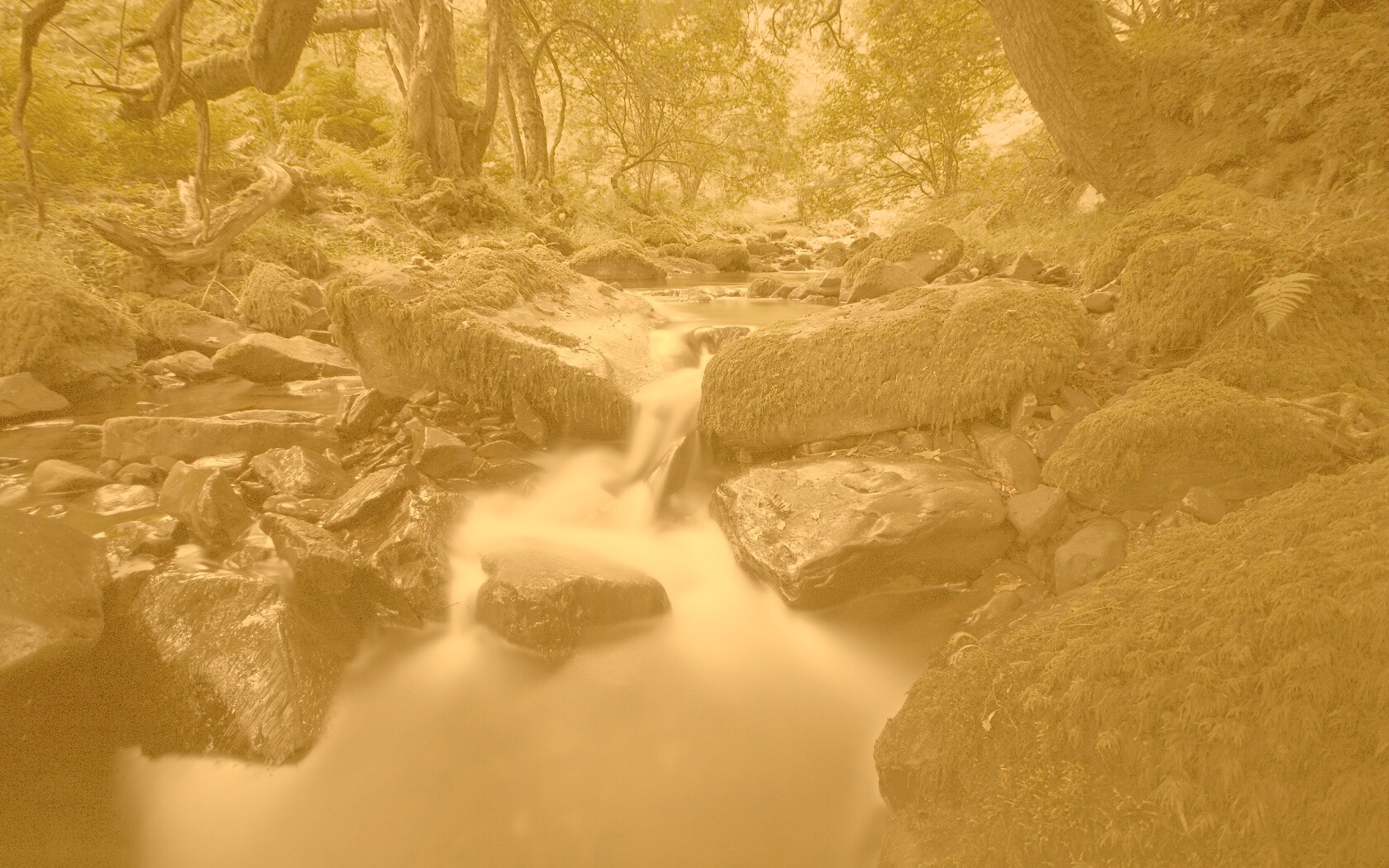 Речной поток в лесу обои