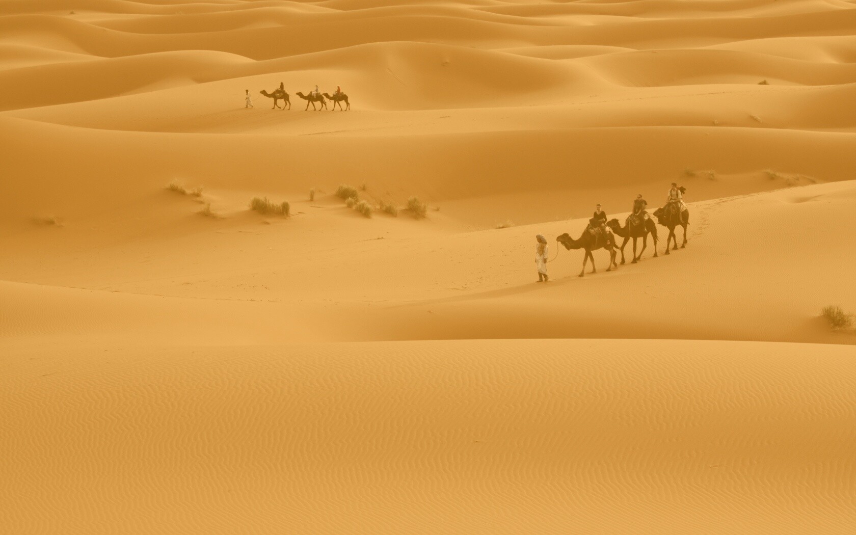 Караваны пустыни обои