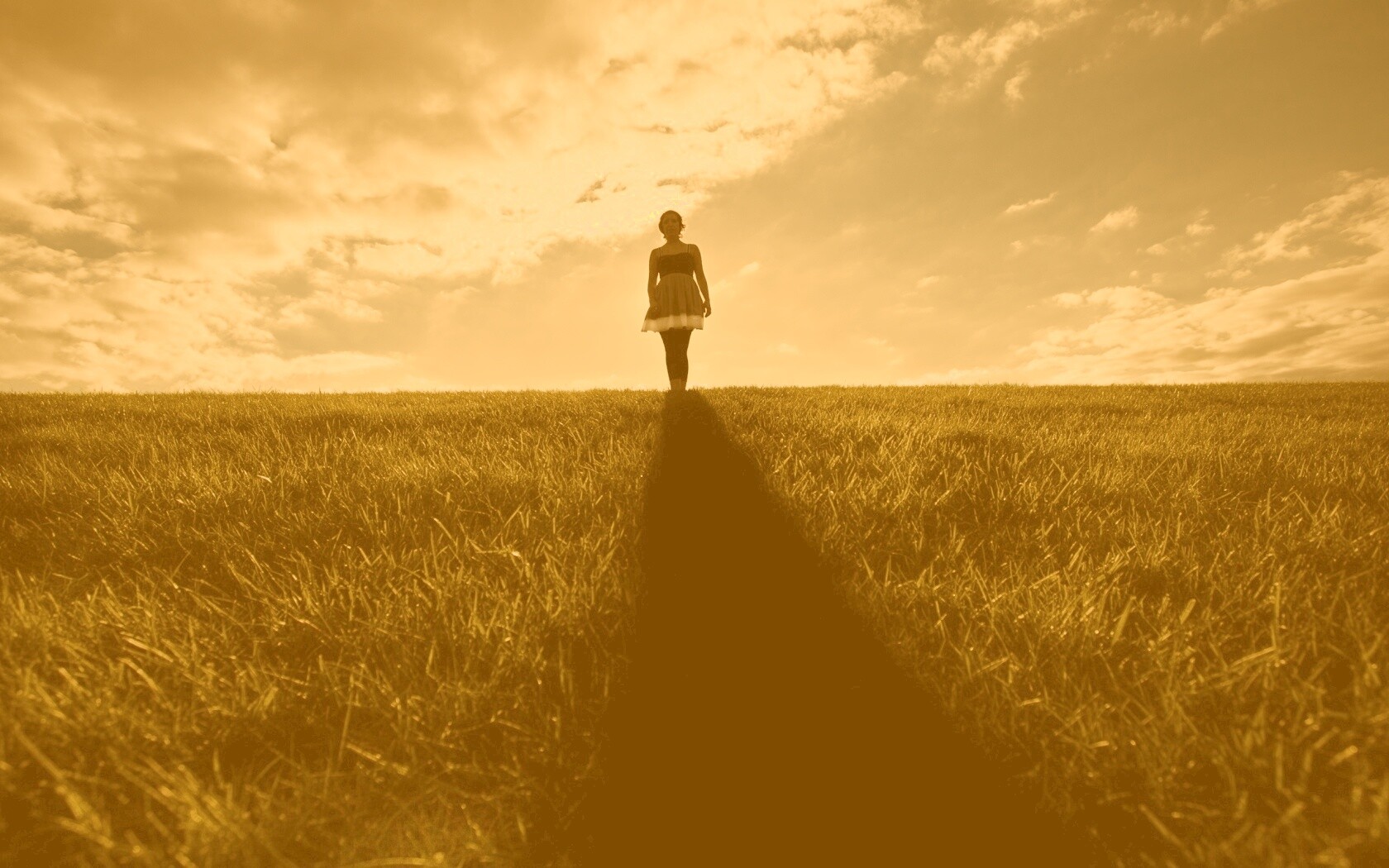 Силуэт девочки на поле обои