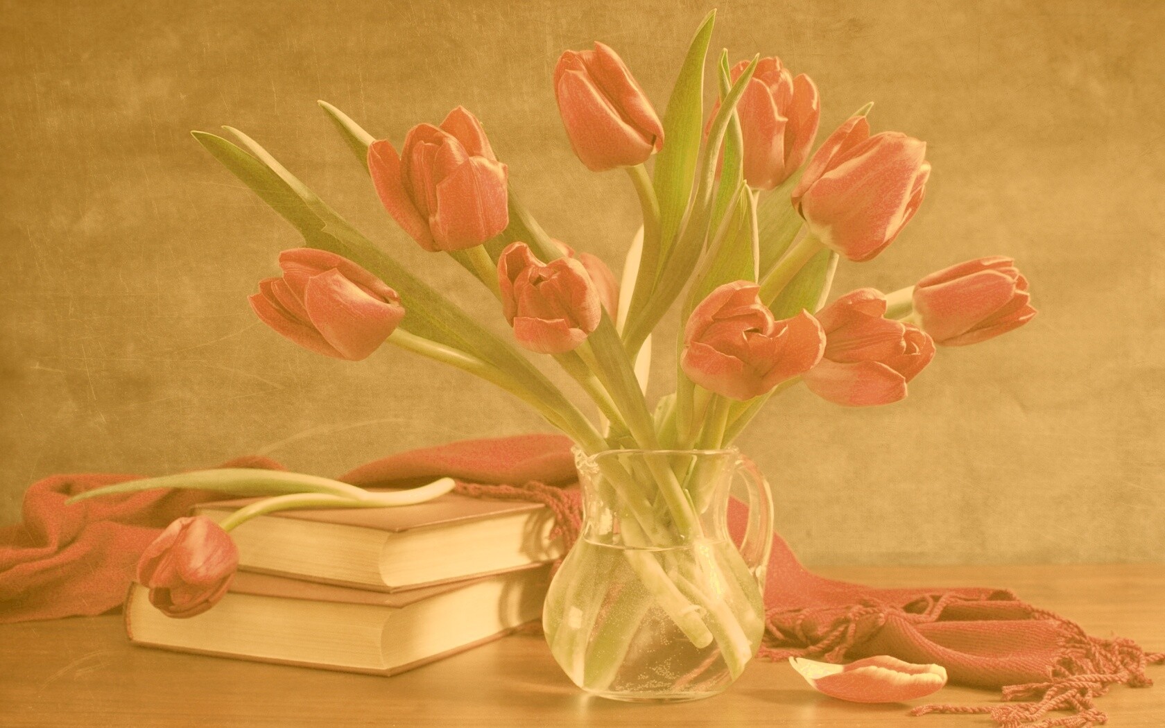 Букет красных тюльпанов обои