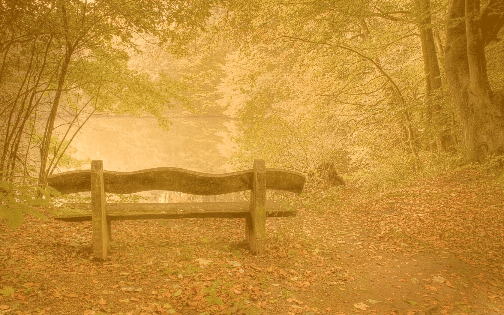 Скамейка в лесу обои