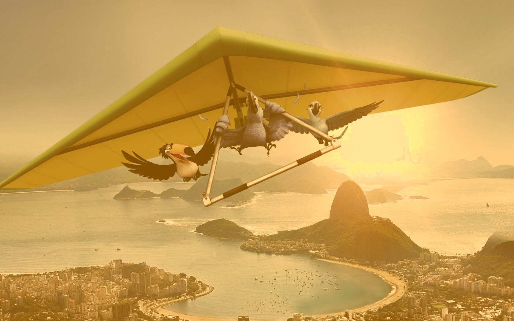 Герои мультфильма Рио обои