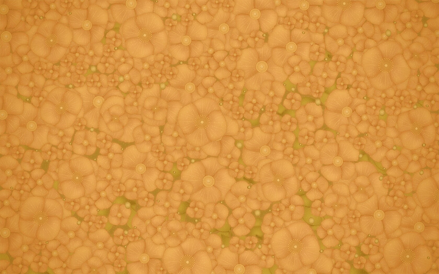 Рисунко с красными цветами обои