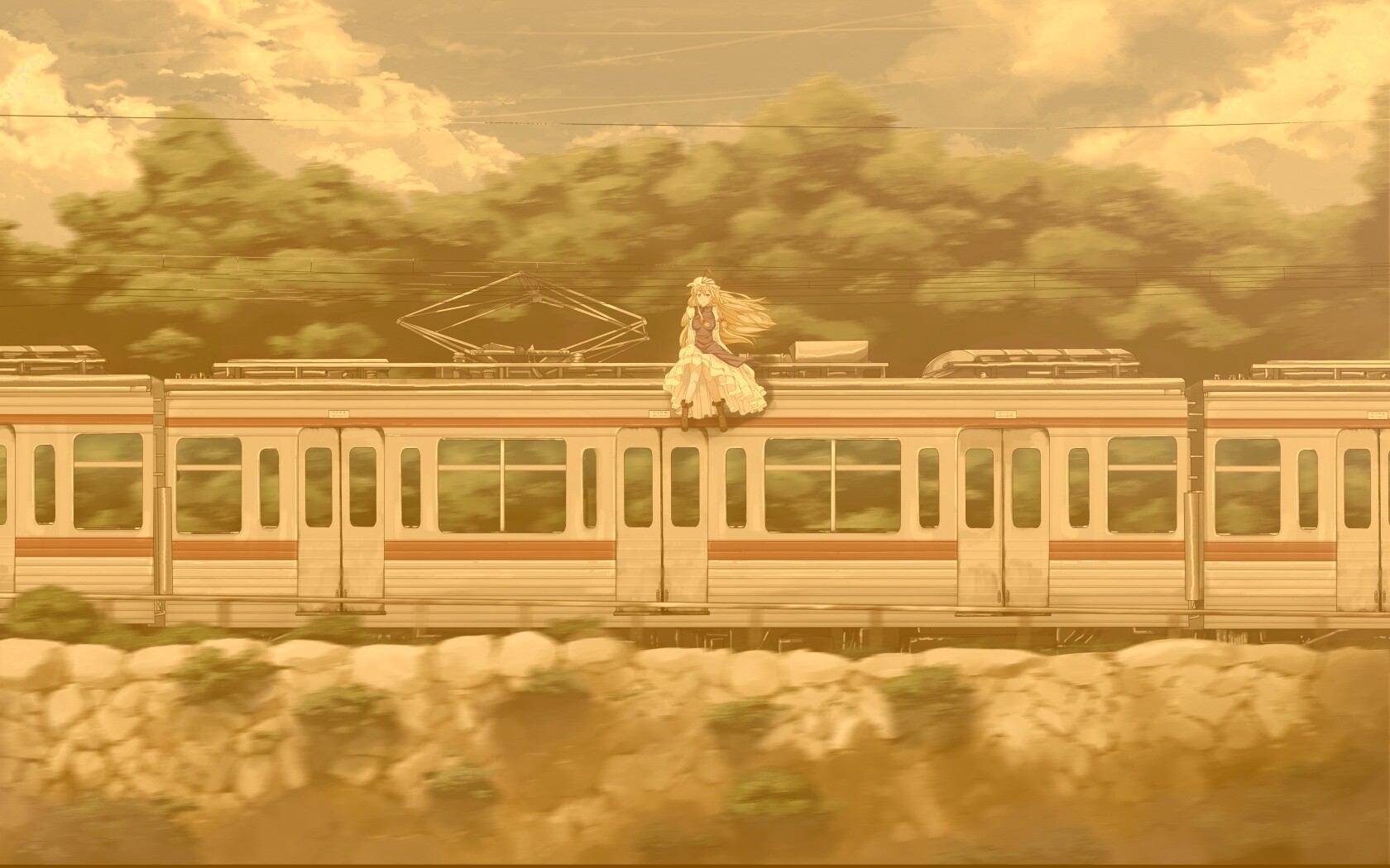 Девушка на крыше поезда обои