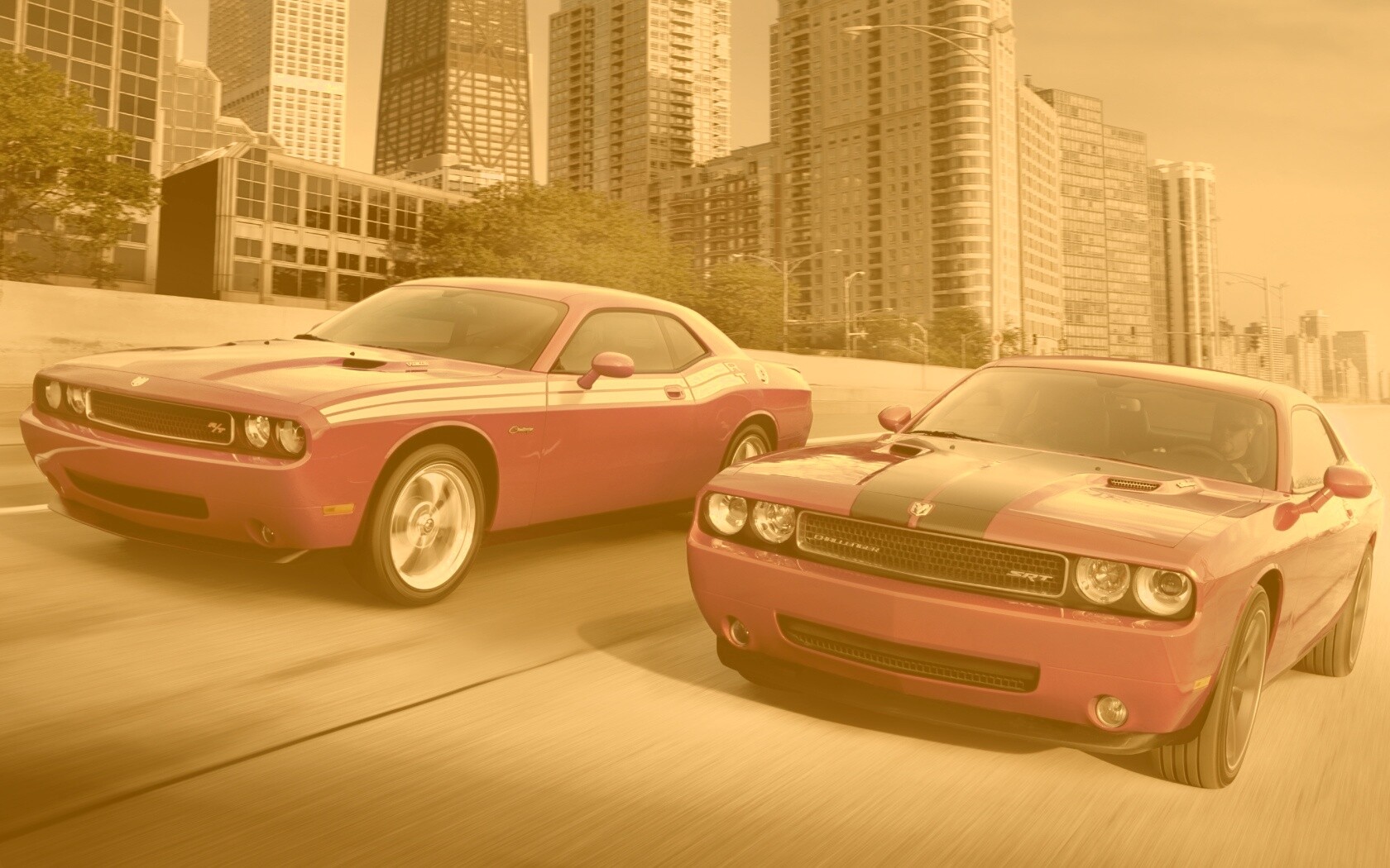 Два розовых мускулкара обои