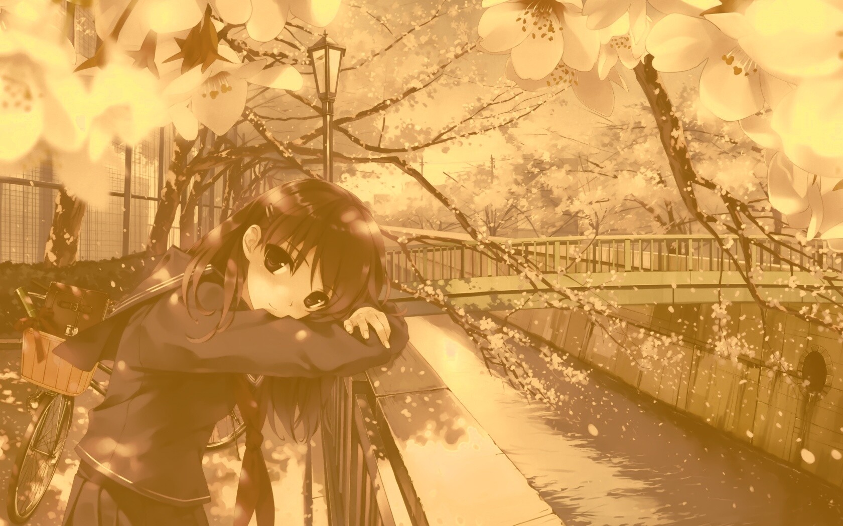 Девушка среди лепестков сакуры обои