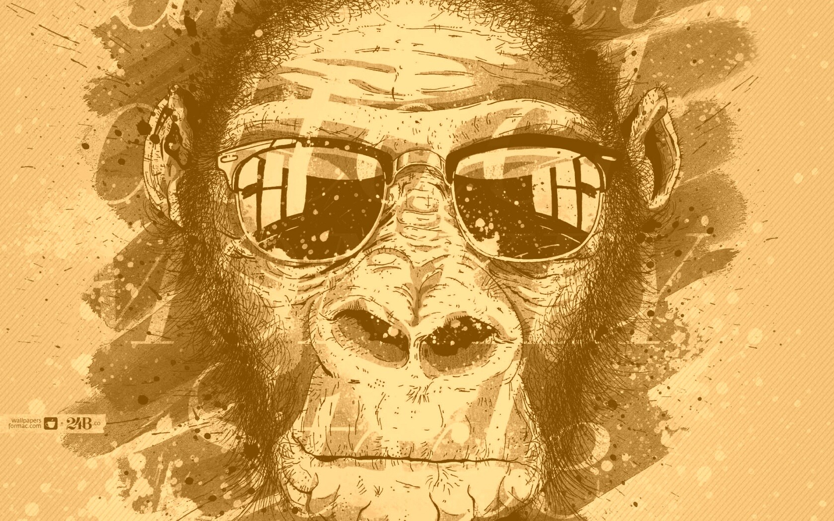 Макака в очках обои