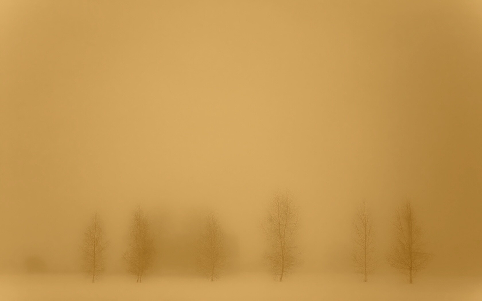 Деревья в тумане обои