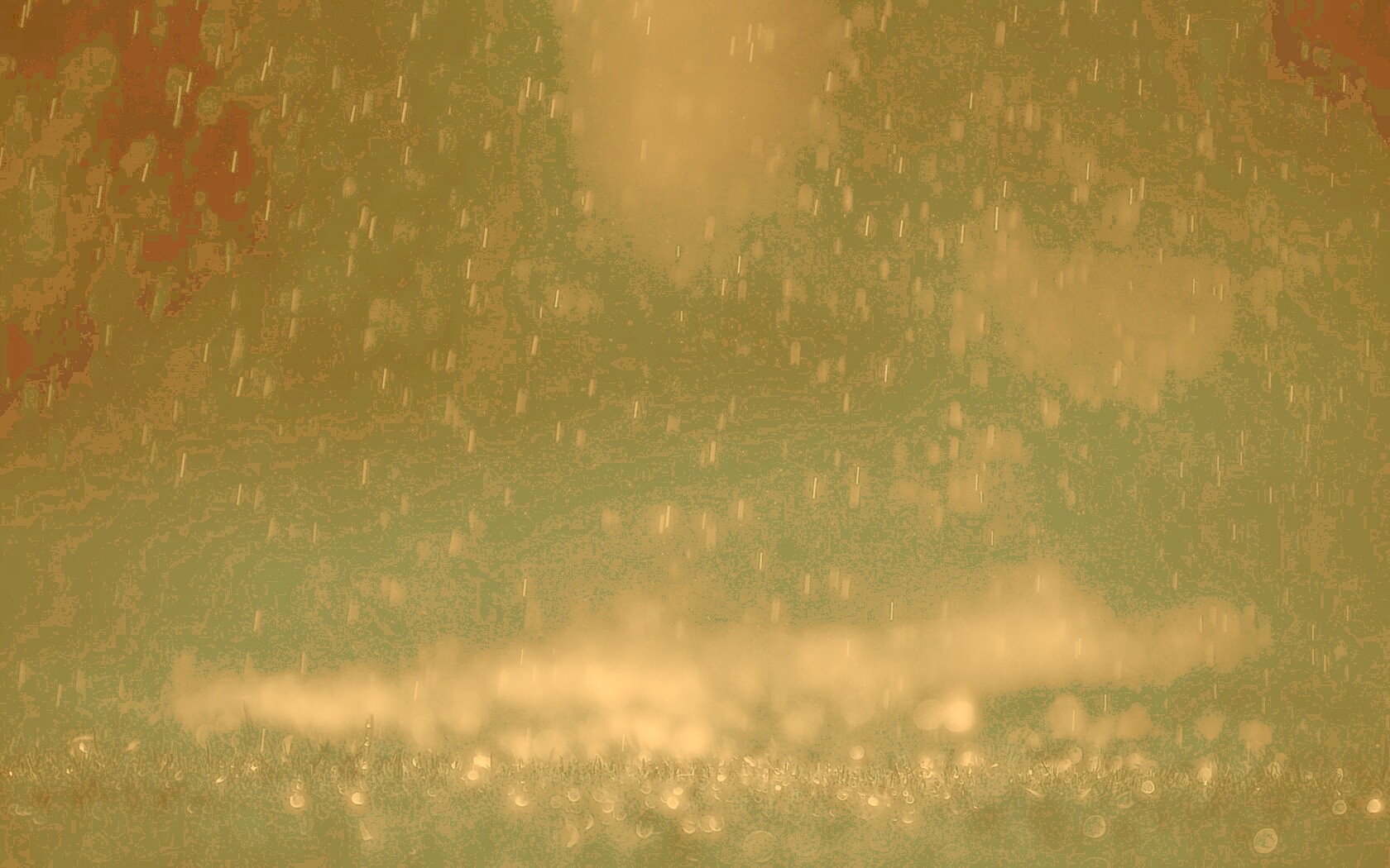 Макро фото дождя обои