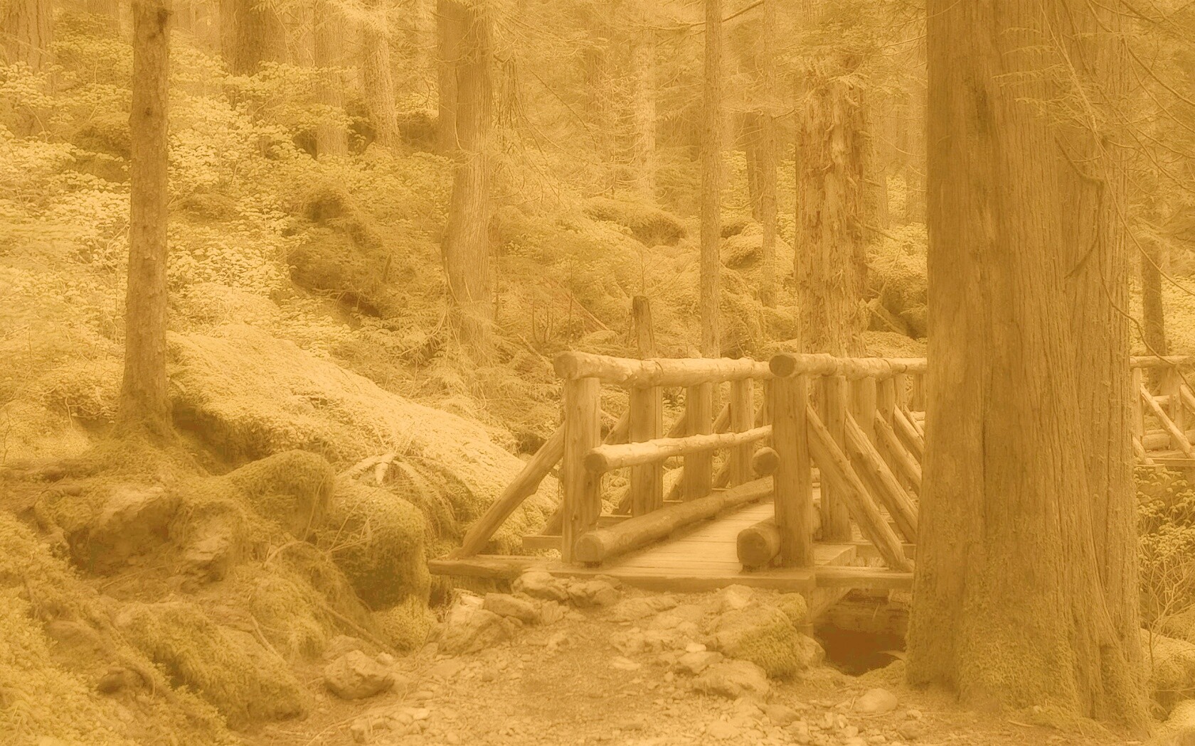 Бревенчатый мост в лесу обои