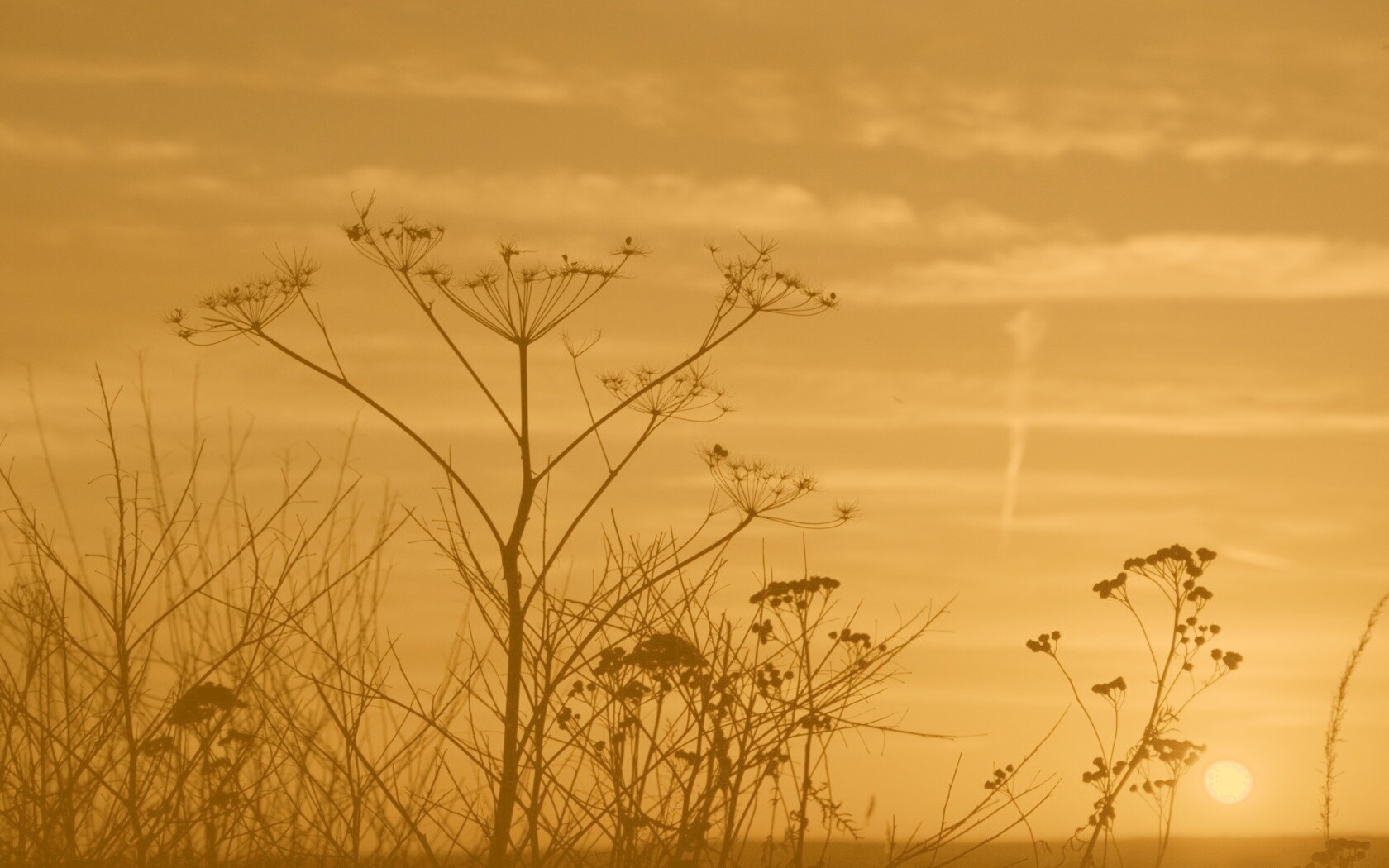 Степной закат обои