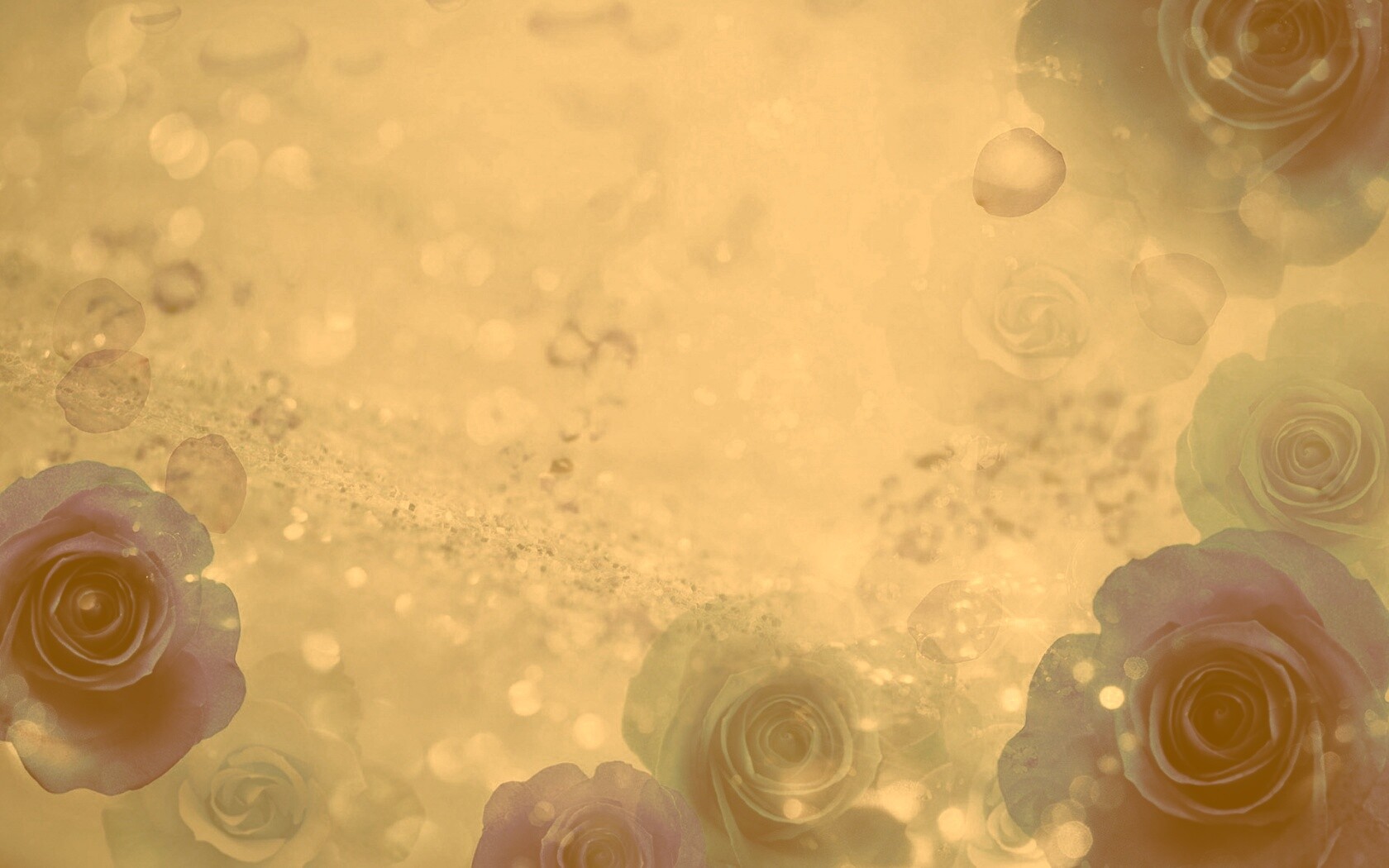 Синие розы обои