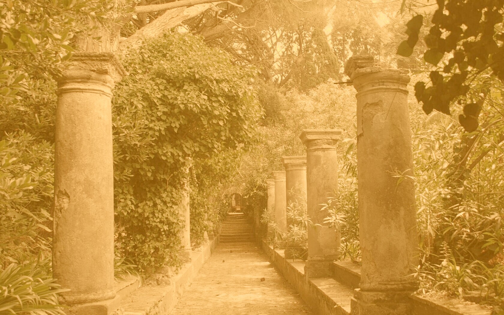 Галерея зимнего сада обои