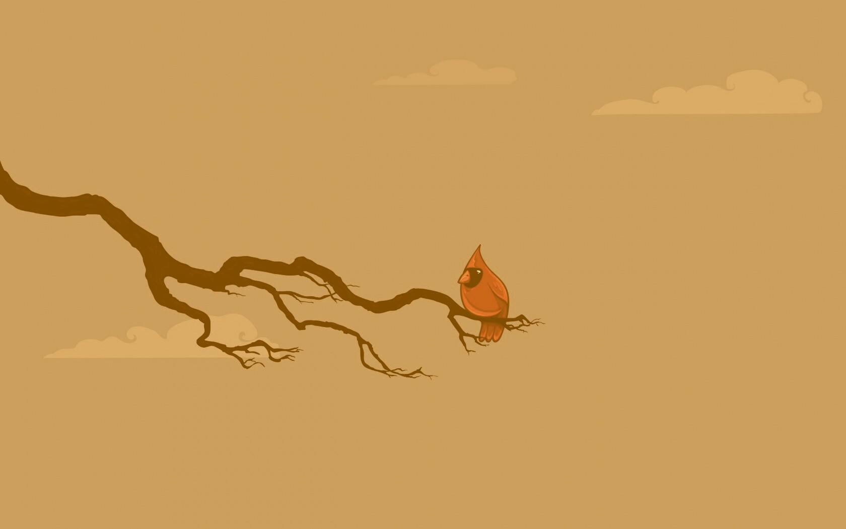 Красная птица на ветке обои