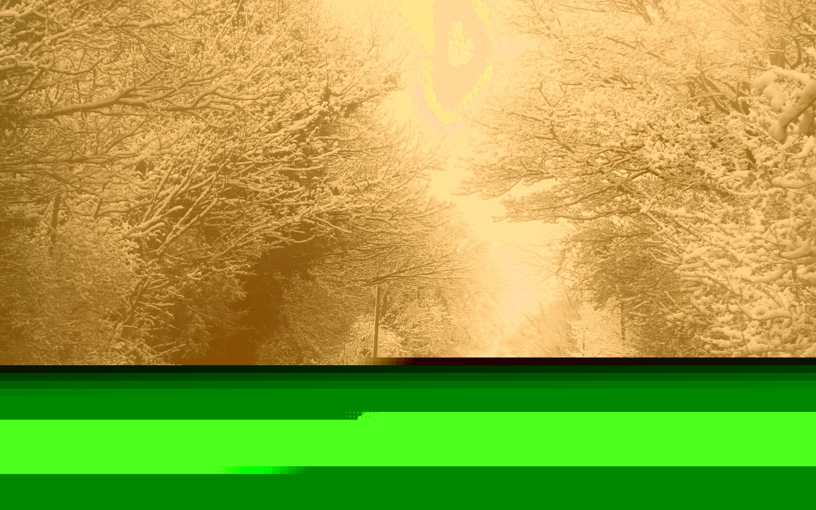 Дорога через зимний лес обои