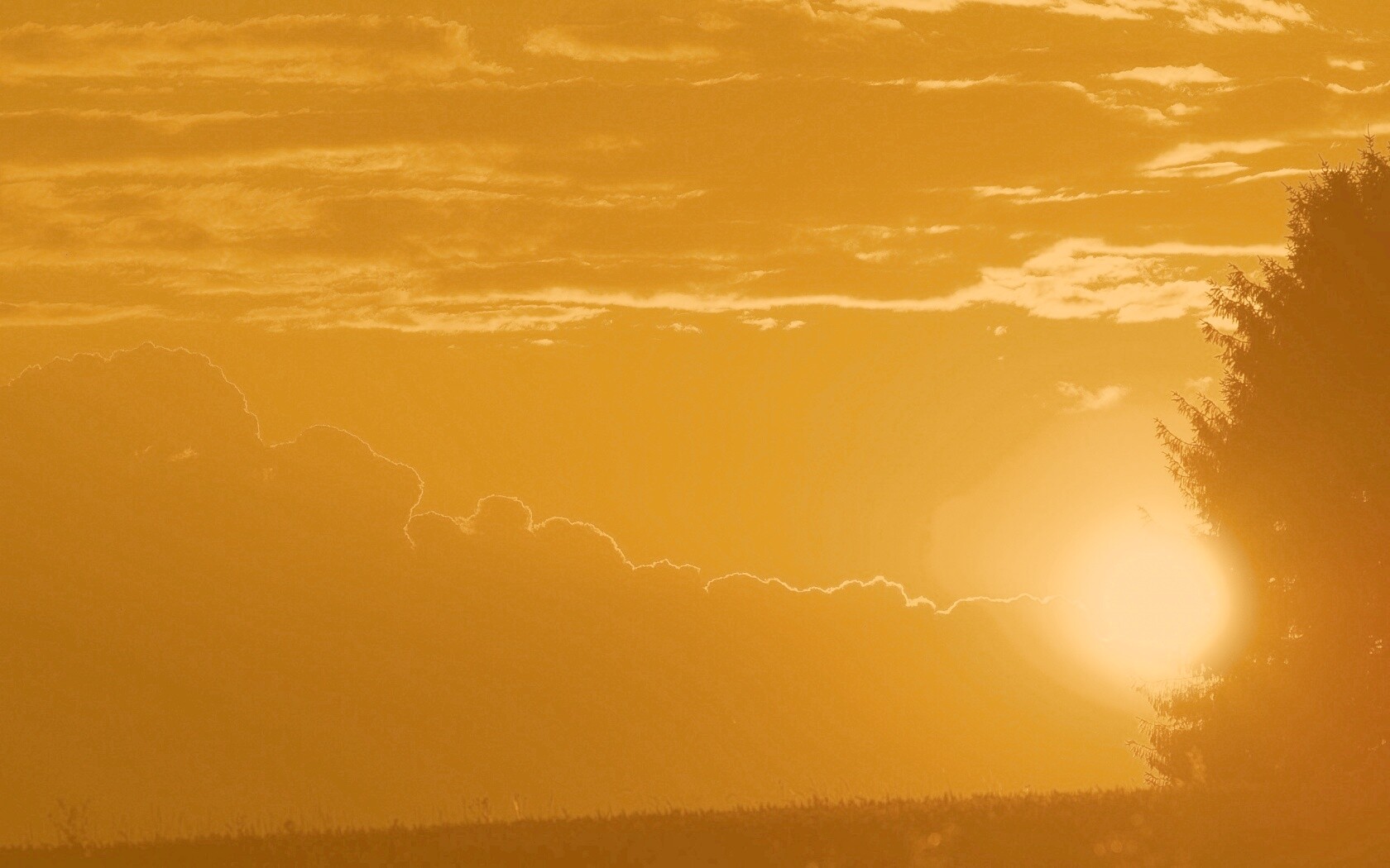 Теплый закат над полем обои