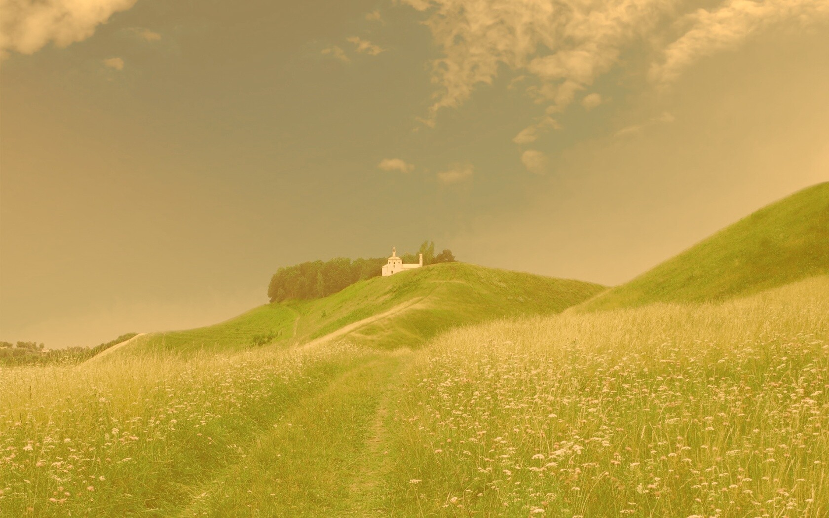 Летние холмы обои