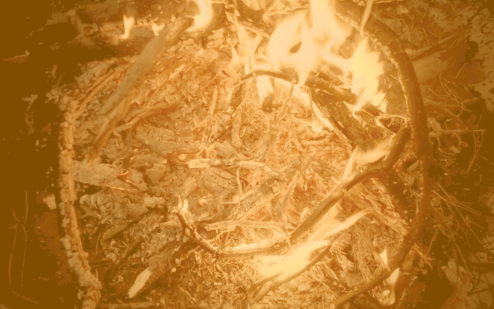 Костёр крупным планом обои