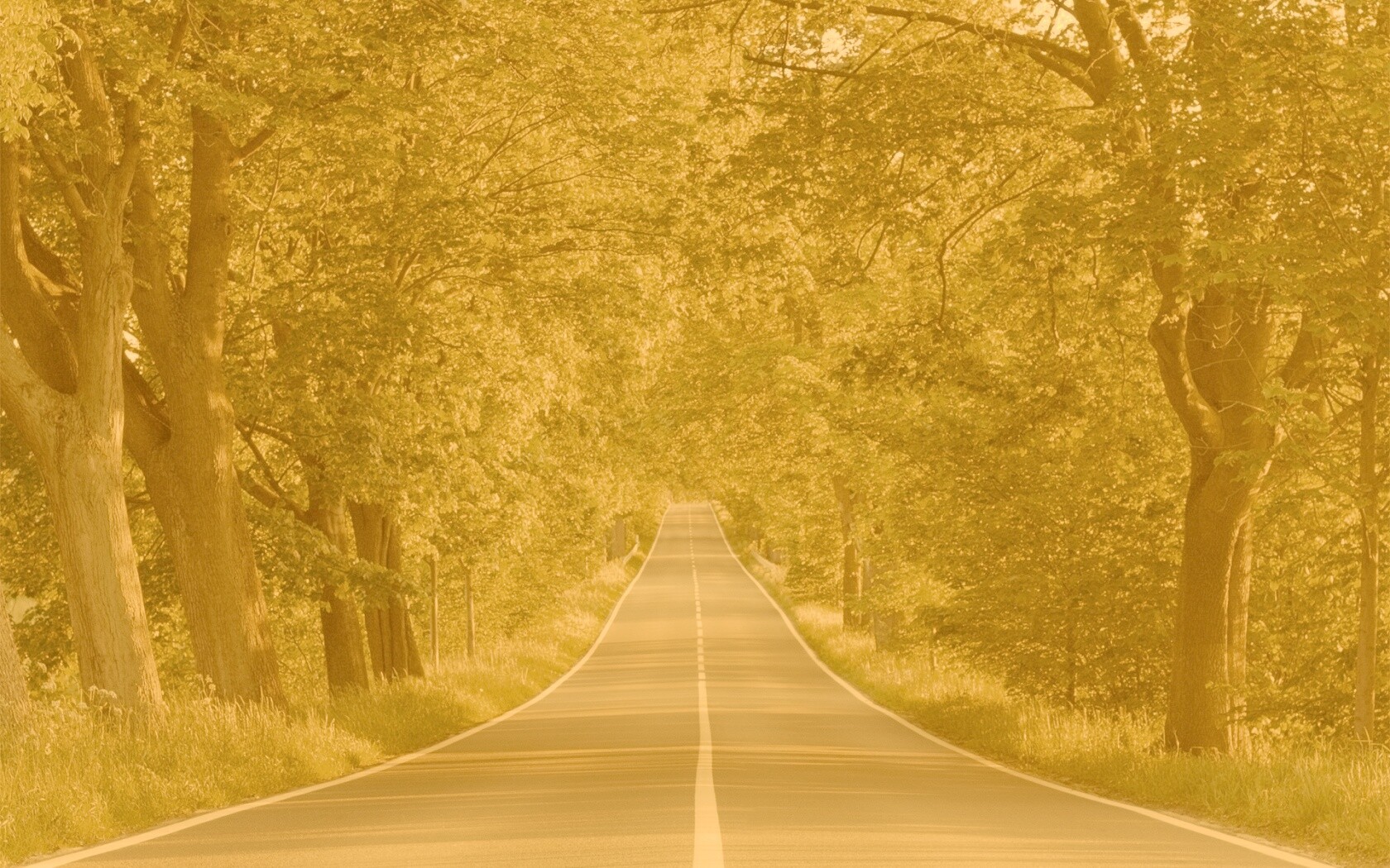 Под горку и в лес обои