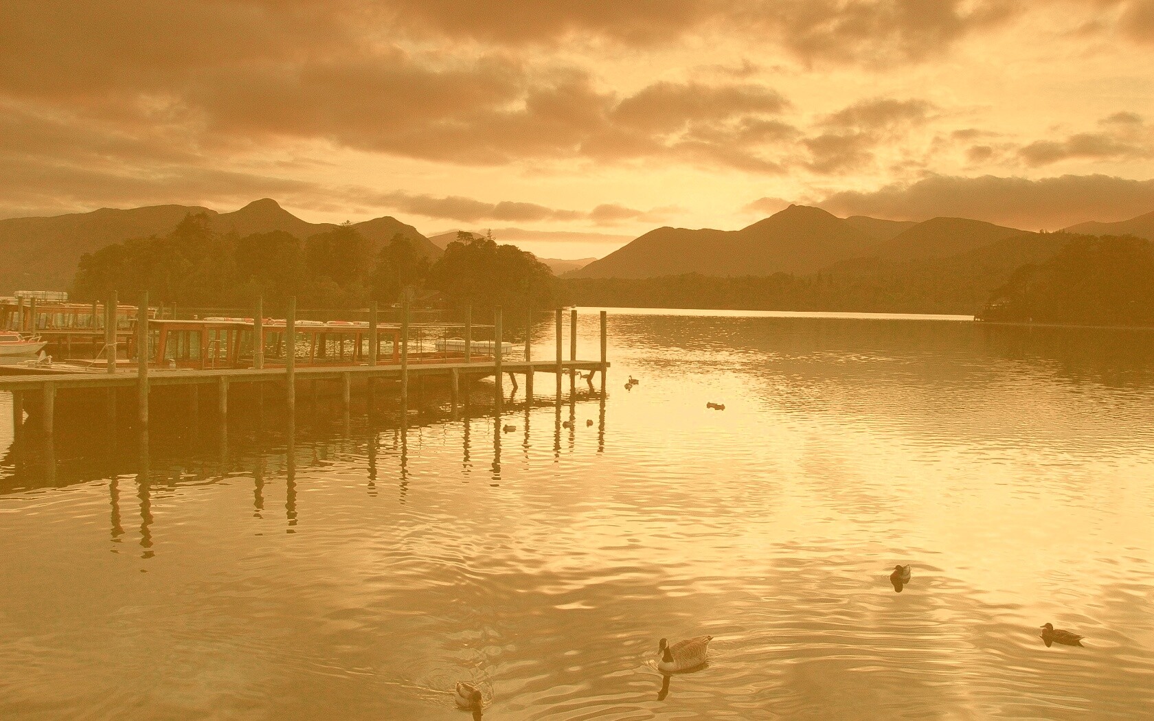 Причал на озере и утки обои