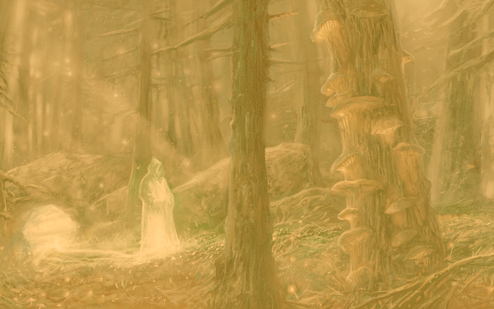 Маг света в лесу обои