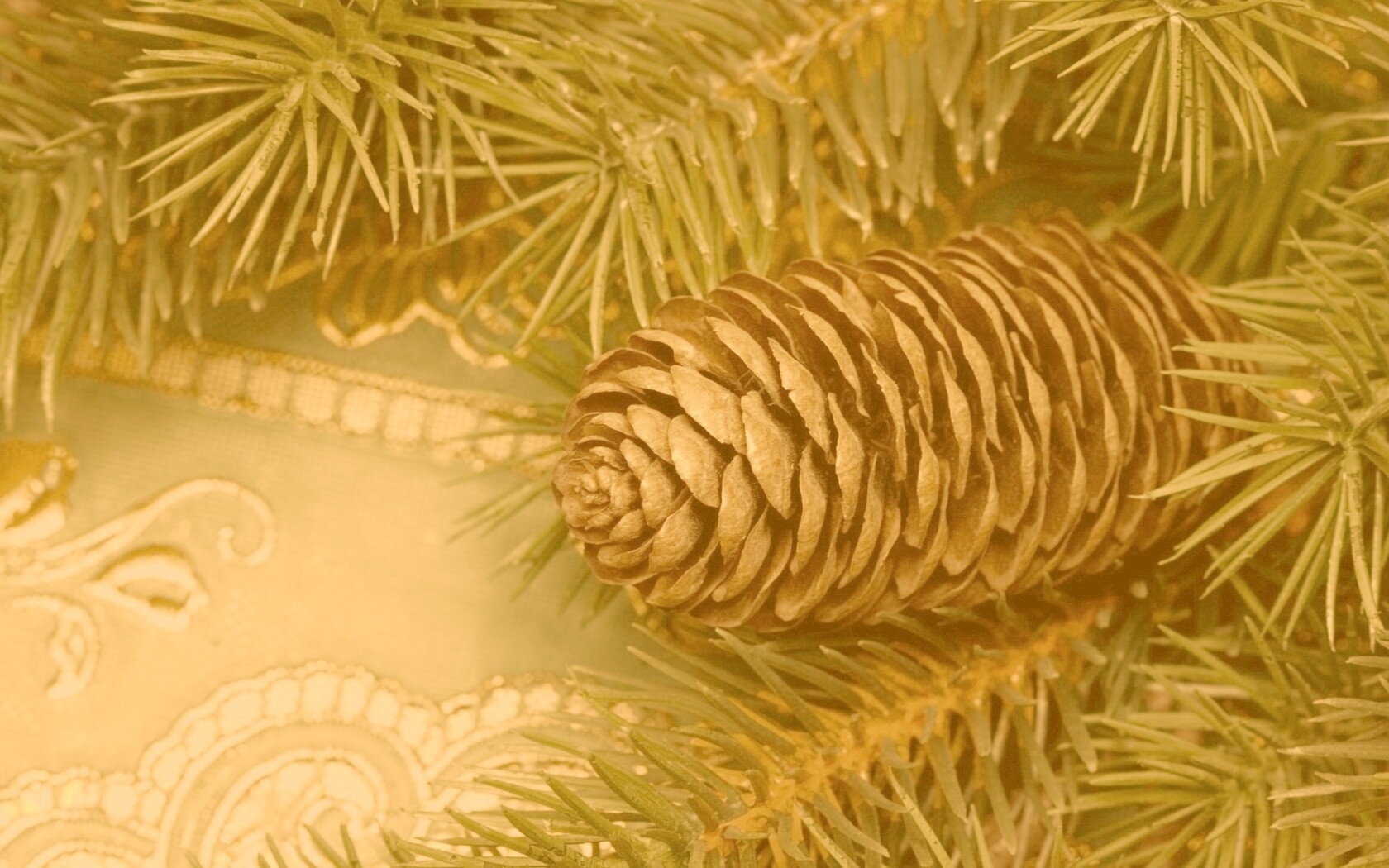 Шишка на елке обои