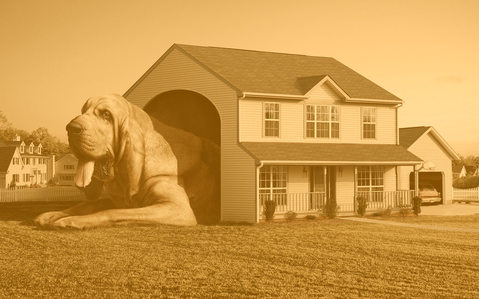 Действительно большая собака обои