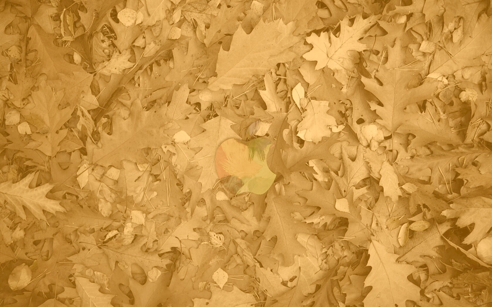 Яблоко в листьях обои