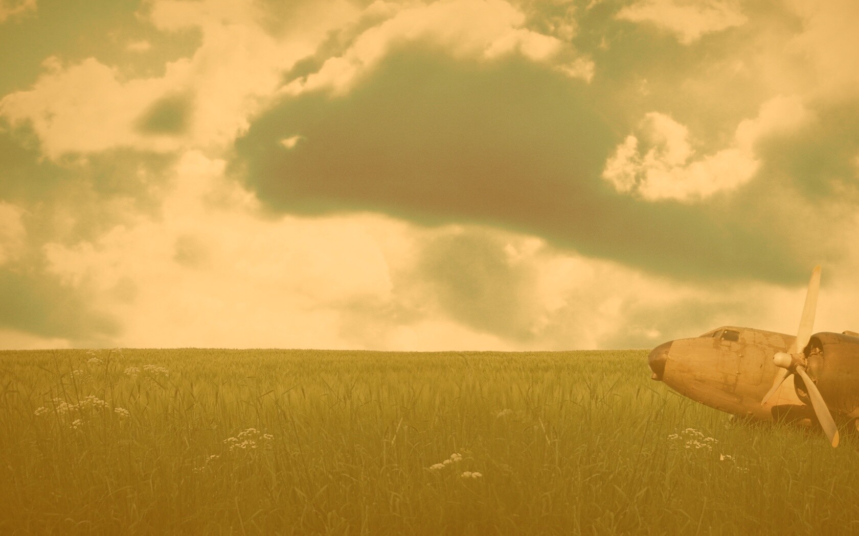 Старый ржавый самолет на лугу обои