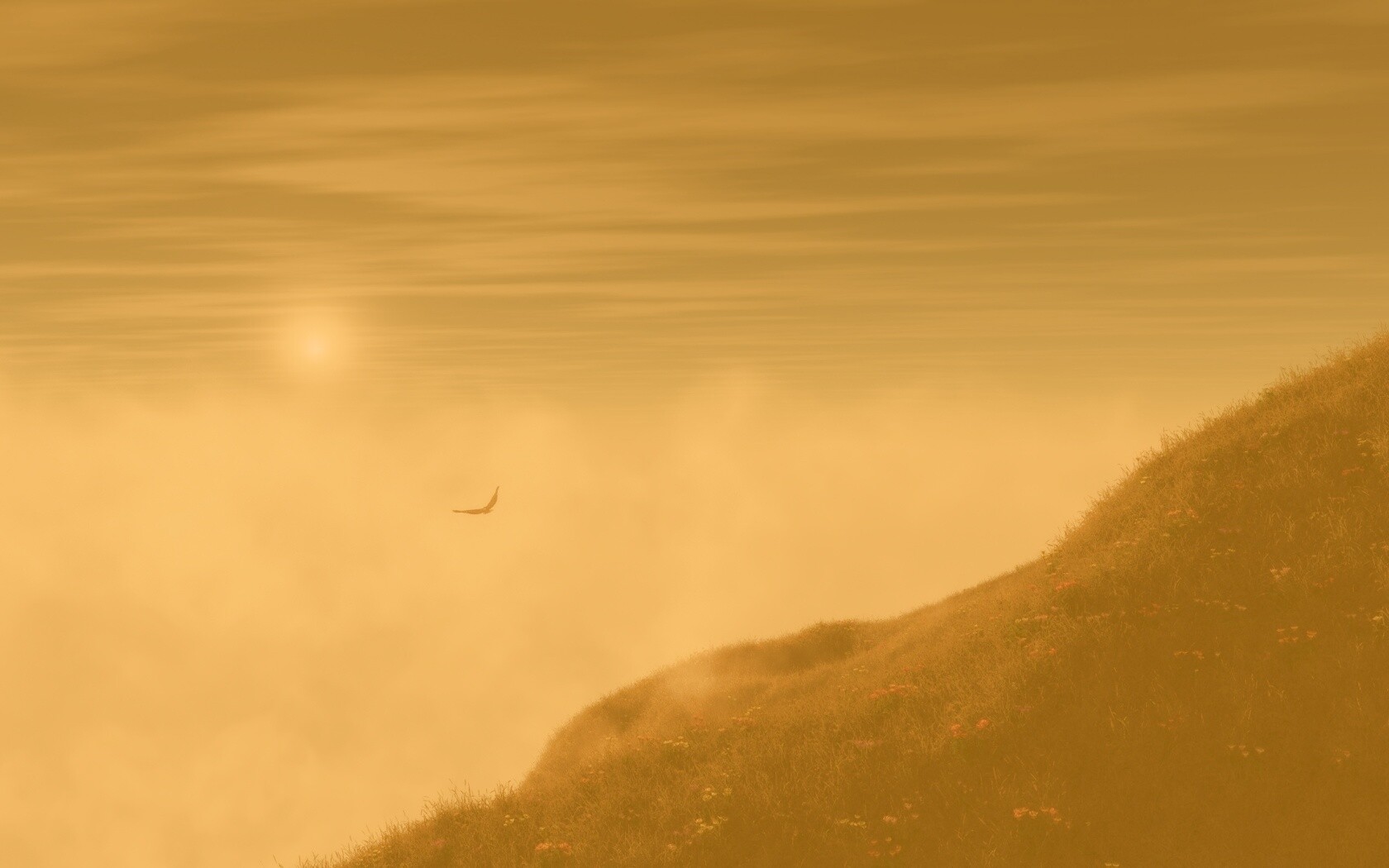 Птица парит над туманом обои