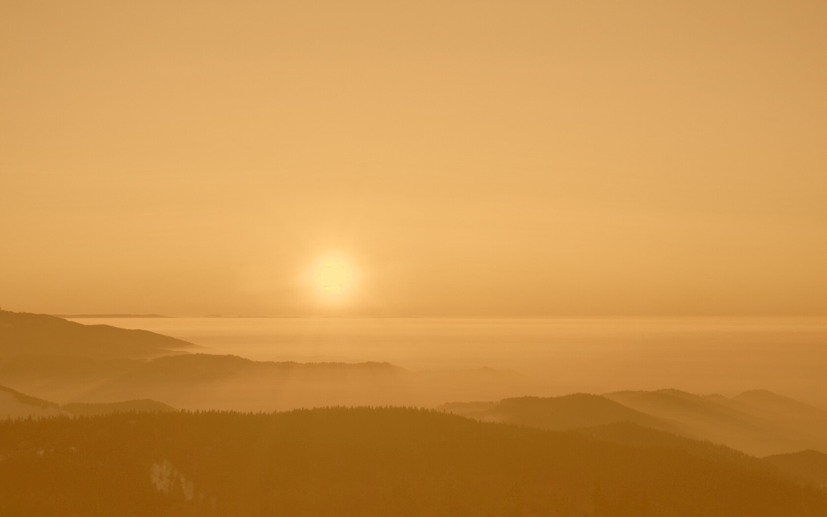 Восход солнца над лесом обои