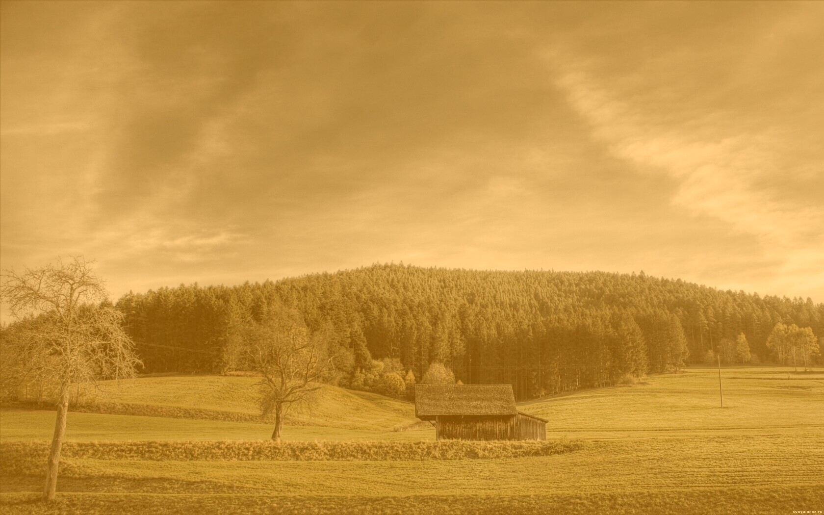 Домик в поле обои