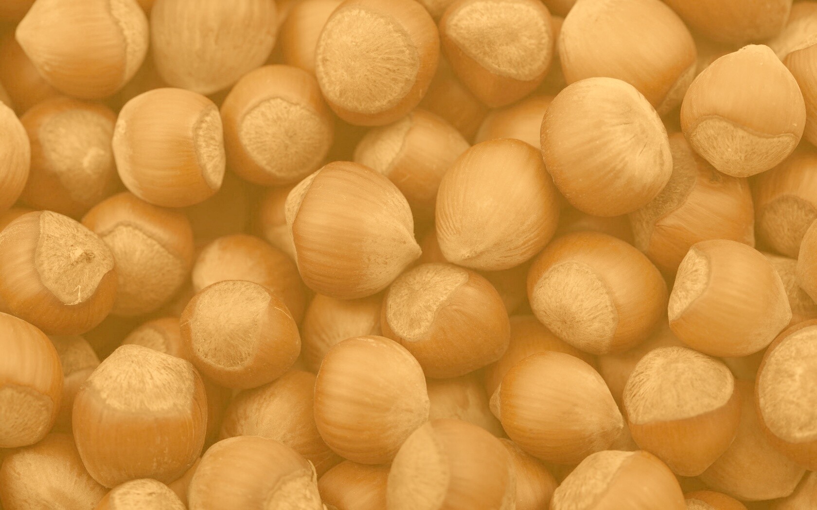 Фундук обои