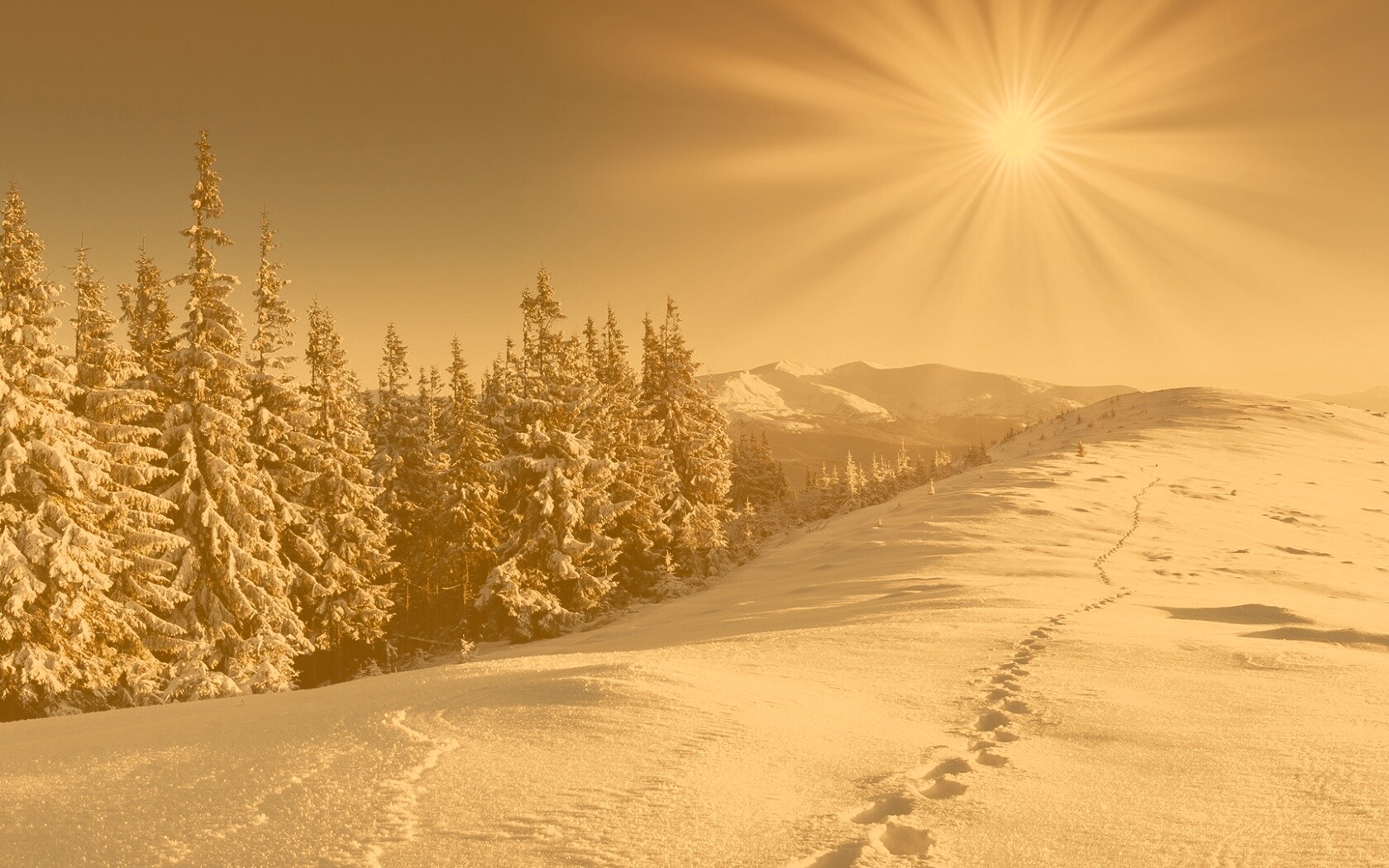 Холодные лучи зимнего солнца обои