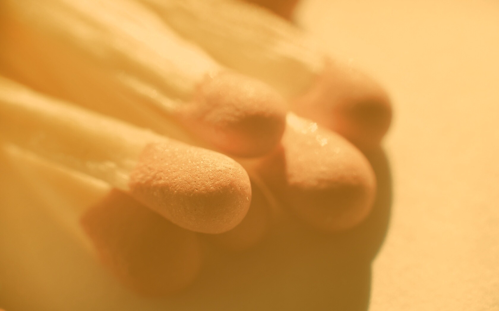 Спички в макро съемке обои