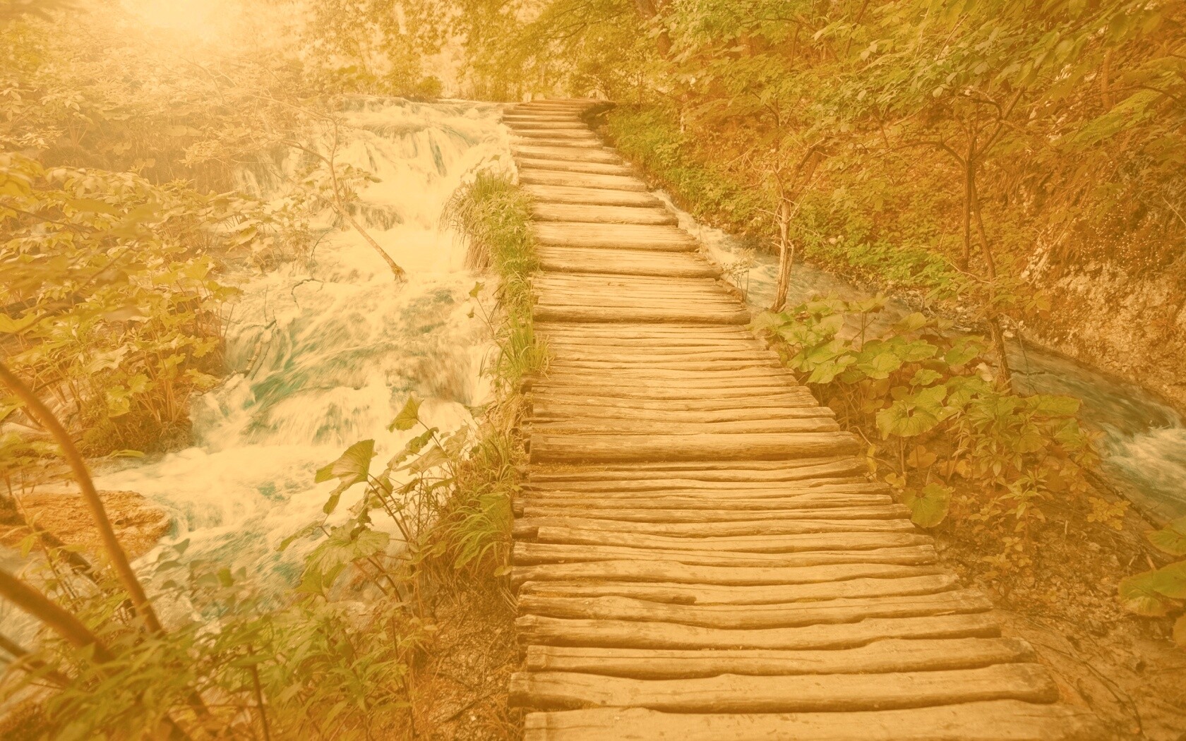 Деревянная дорожка над ручьем обои