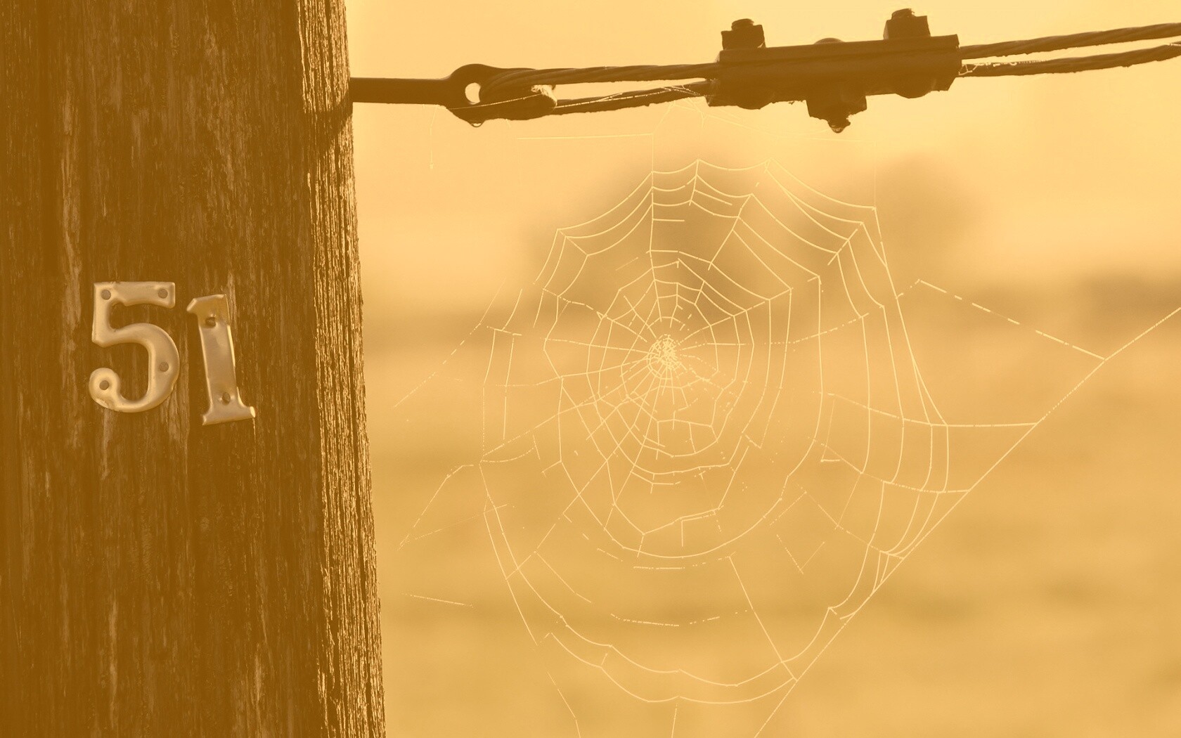 Паутина 51 обои