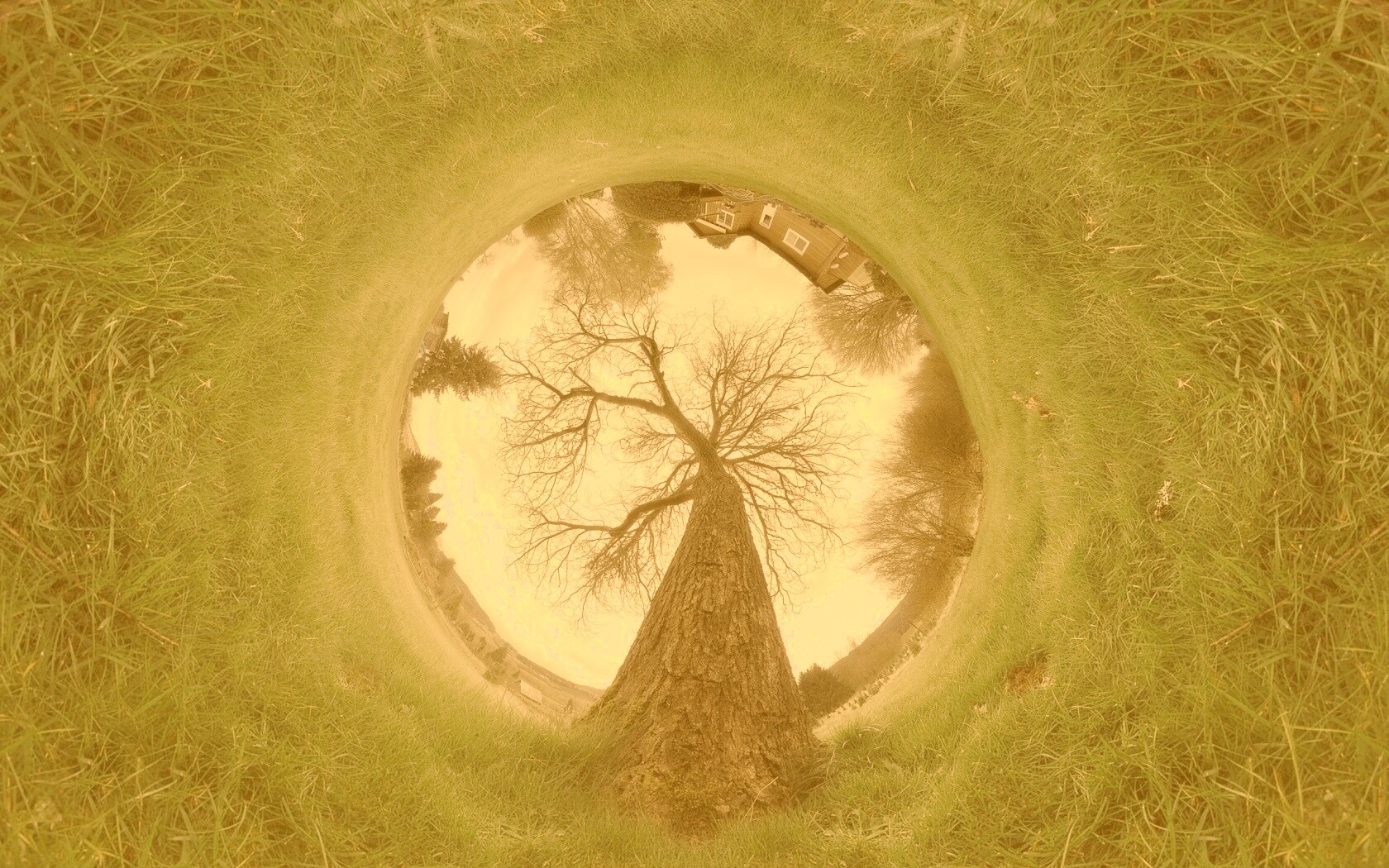 Другой взгляд на мир обои