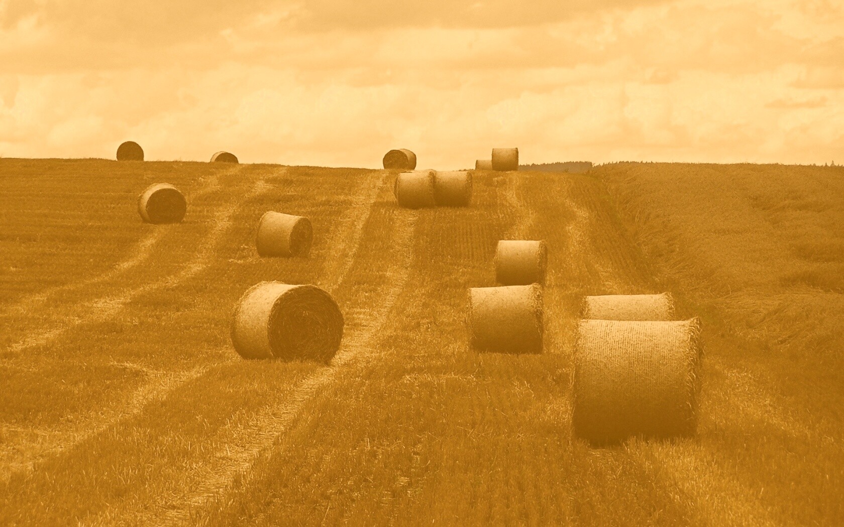 Уборка сена с поля обои