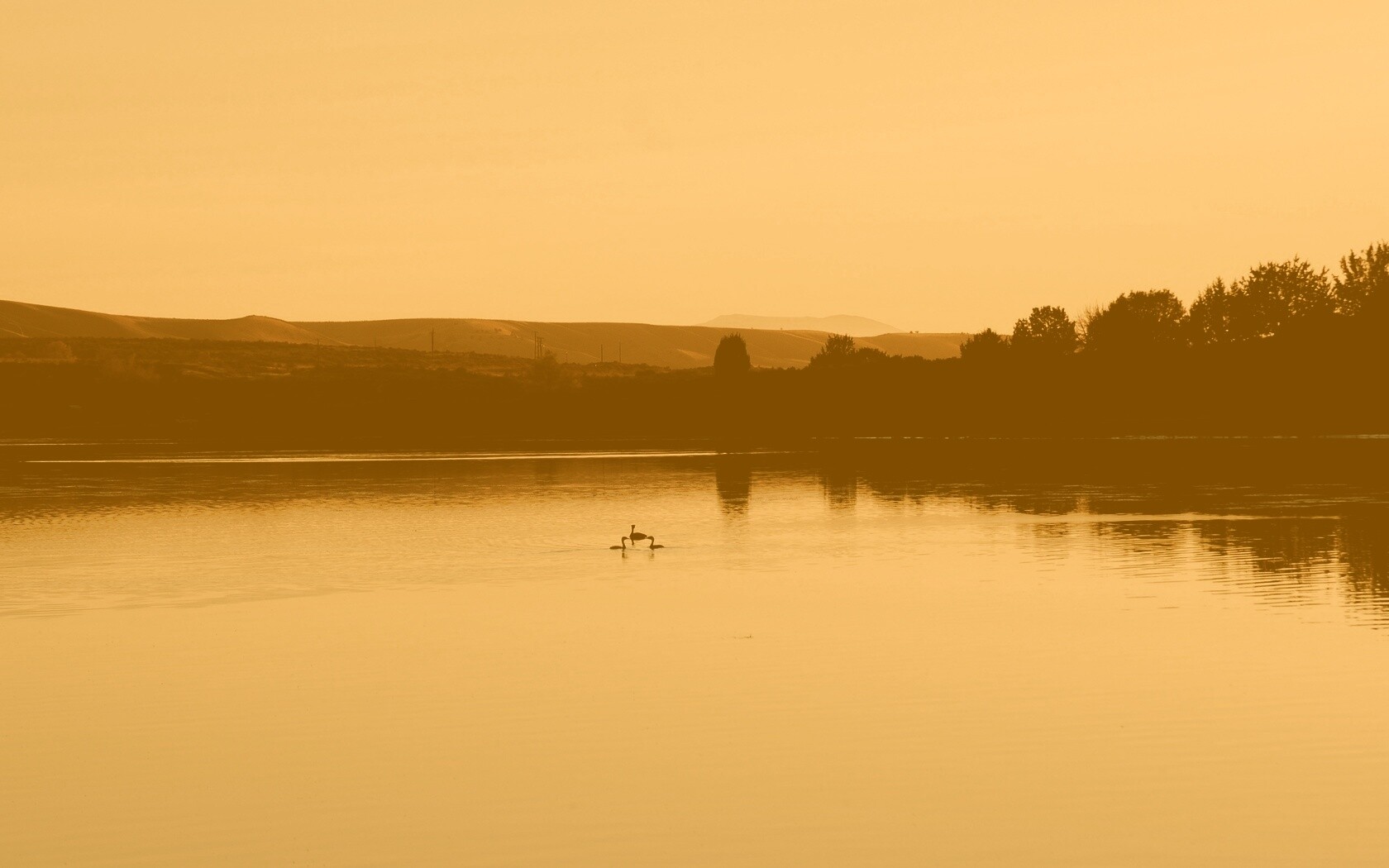 Утиное озеро обои