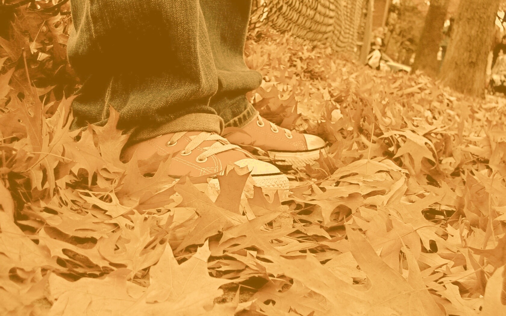 Оранжевые кеды обои