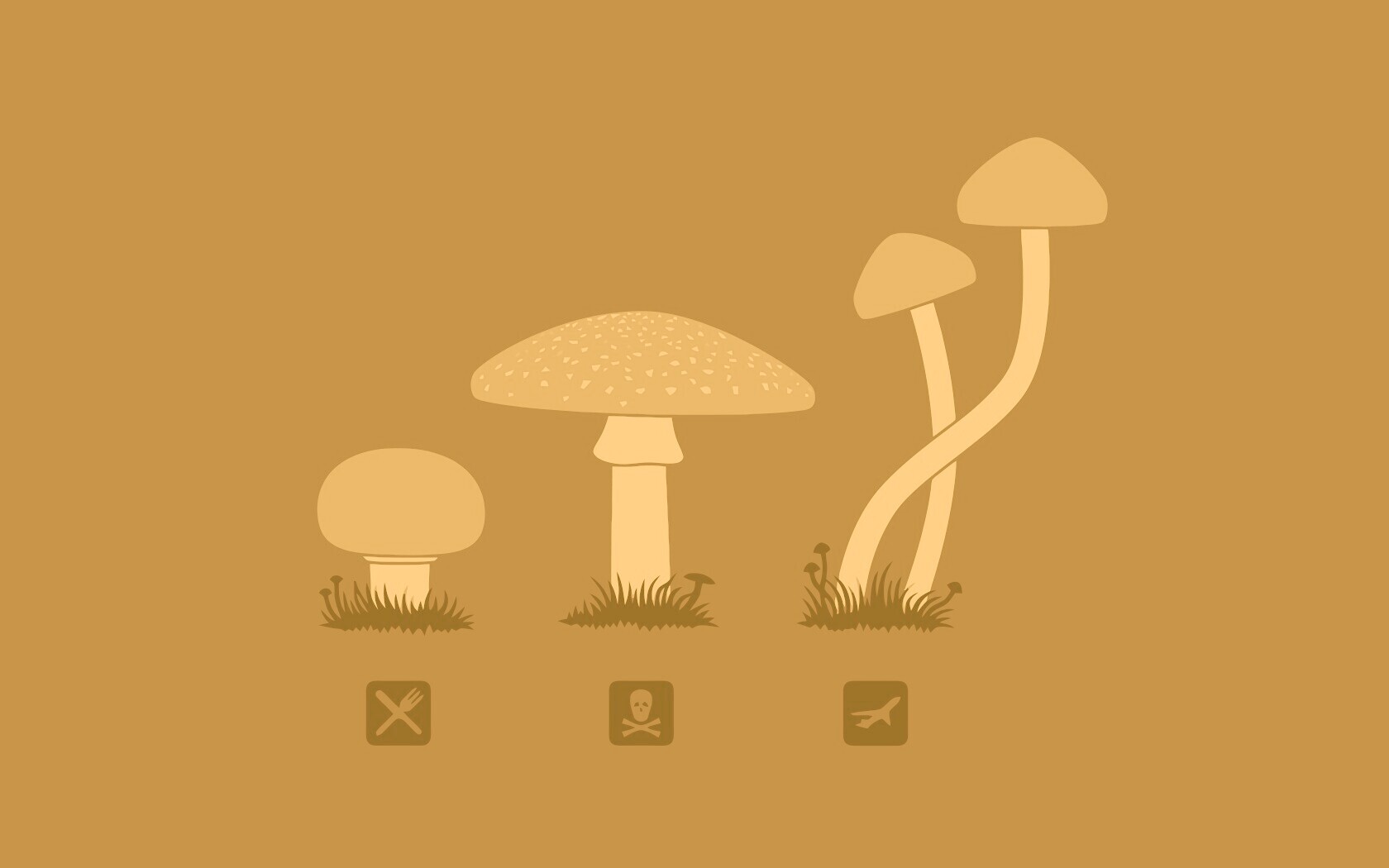 Грибочки обои